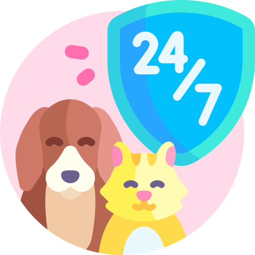 Pet Services